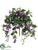 Fuchsia Hanging Bush - Lavender Purple - Pack of 6