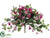 Fuchsia Hanging Bush - Pink Beauty - Pack of 6