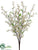 Forsythia Bush - Cream - Pack of 12