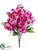 Frangipani Bush - Fuchsia - Pack of 12