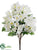 Frangipani Bush - White - Pack of 12