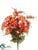 Wild Freesia Bush - Flame Orange - Pack of 12