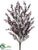Berry Bush - Red Purple - Pack of 12