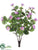 Geranium Bush - Lavender Two Tone - Pack of 12