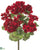 Geranium Bush - Red - Pack of 12