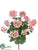 Geranium Bush - Pink White - Pack of 6