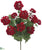 Geranium Bush - Red - Pack of 6