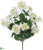 Geranium Bush - White - Pack of 6