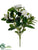 Gardenia Bush - Cream Green - Pack of 12