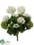 Geranium Bush - White - Pack of 12