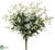 Baby's Breath Bush - White - Pack of 12