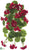 Outdoor Geranium Hanging Bush - Red - Pack of 6