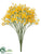 Baby's Breath Bush - Yellow Two Tone - Pack of 24