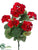 Geranium Bush - Red - Pack of 18