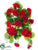 Geranium Bush - Red - Pack of 12