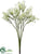 Gypsophila Bush - White - Pack of 12