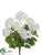 Geranium Bush - White - Pack of 12