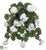 Geranium Hanging Bush - White - Pack of 6