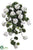 Geranium Hanging Bush - White - Pack of 4