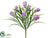 Hyacinth Bush - Helio - Pack of 24