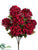 Hydrangea Bush - Burgundy - Pack of 12