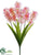 Hyacinth Bush - Pink - Pack of 12