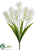 Hyacinth Bush - White - Pack of 12