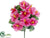 Hibiscus Bush - Pink - Pack of 12