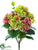 Hydrangea Bush - Mauve Green - Pack of 12