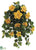 Hibiscus Hanging Bush - Yellow - Pack of 4