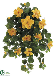 hanging plant with yellow flowers Hibiscus Hanging Bush - Yellow - Pack of 4 - (CEY-612HBFS)