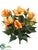 Hibiscus Bush - Orange - Pack of 6