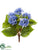 Hydrangea Bush - Blue - Pack of 24