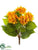 Hydrangea Bush - Orange Yellow - Pack of 24