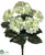 Hydrangea Bush - Cream Green - Pack of 6