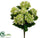 Hydrangea Bush - Green - Pack of 6