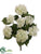Hydrangea Bush - Cream White - Pack of 6
