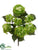 Hydrangea Bush - Green Two Tone - Pack of 6