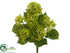 Silk Plants Direct Hydrangea Bush - Green - Pack of 6