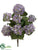 Hydrangea Bush - Lavender Purple - Pack of 6