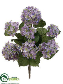 Hydrangea Bush - Lavender Purple - Pack of 6