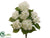 Hydrangea Bush - White - Pack of 6