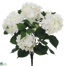 Hydrangea Bush - Cream - Pack of 12