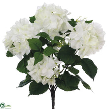 Hydrangea Bush - Cream - Pack of 12