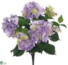 Hydrangea Bush - Lavender Two Tone - Pack of 12
