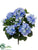 Hydrangea Bush - Helio - Pack of 6