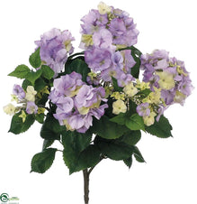 Hydrangea Bush - Lavender Two Tone - Pack of 6