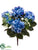 Hydrangea Bush - Delphinium Helio - Pack of 12