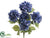 Hydrangea Bush - Blue Helio - Pack of 6