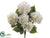 Hydrangea Bush - Cream - Pack of 6